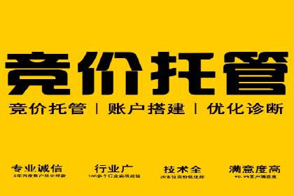 创新驱动：SEM竞价优化的多维度案例分析